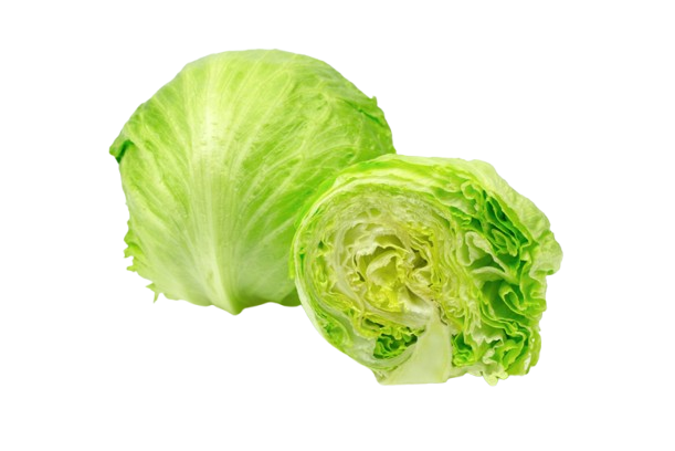 Lechuga iceberg