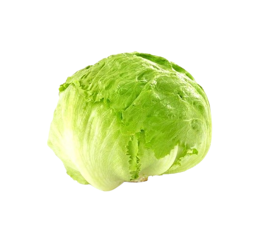 Lechuga romana